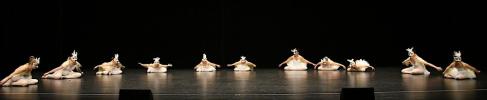 Gala de danse classique juin 2026
